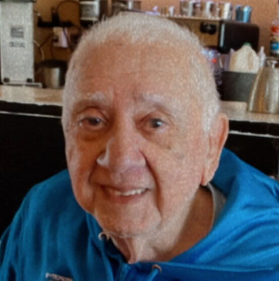 José Luiz Viana do Couto